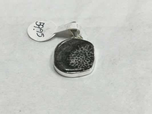 Fossilized Stingray Coral Pendant
