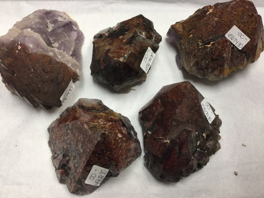 Red-Topped Amethyst Points