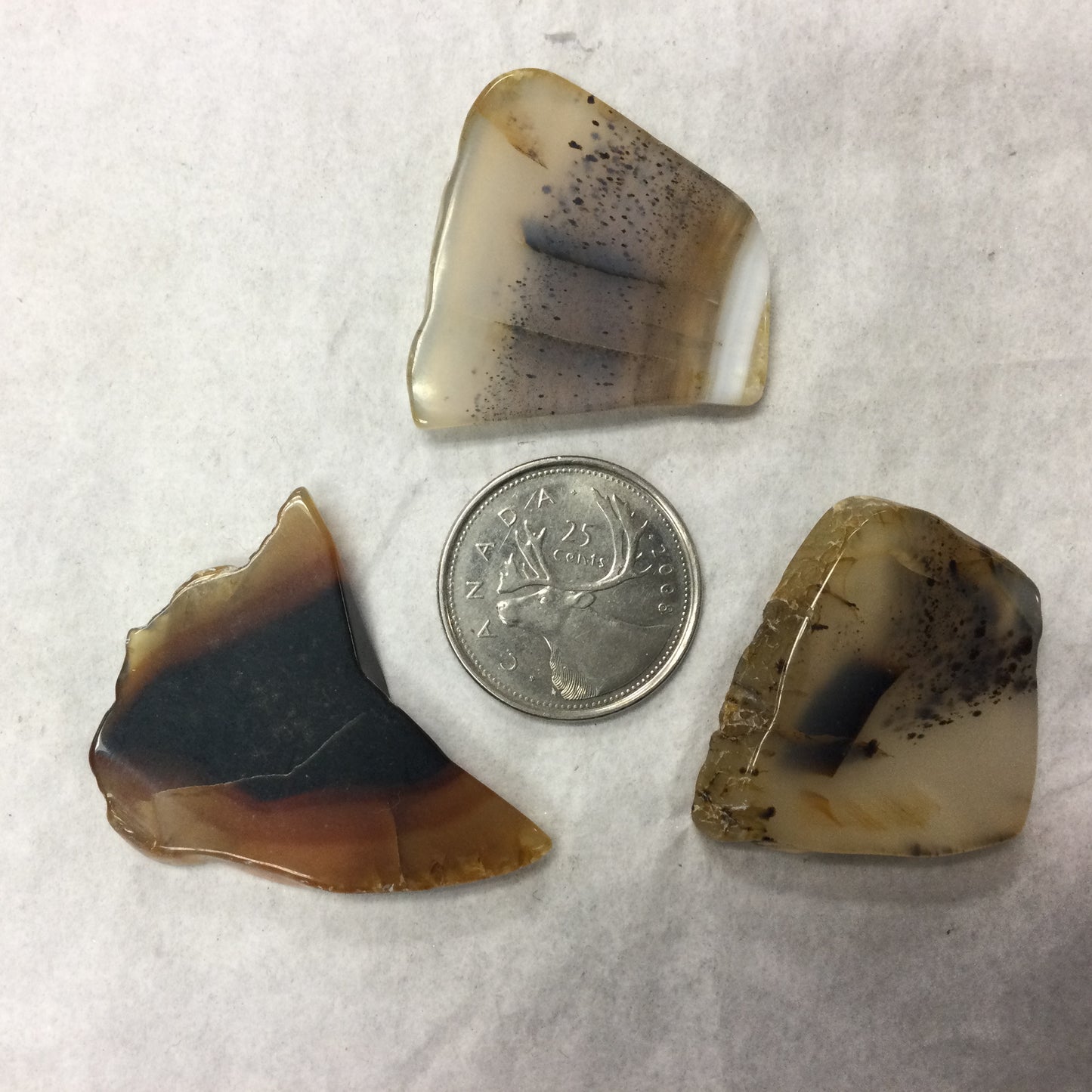 Montana Agate