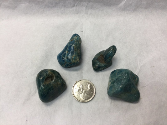 Apatite Large Tumbeled