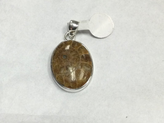 Simple Ammonite Shell Pendant