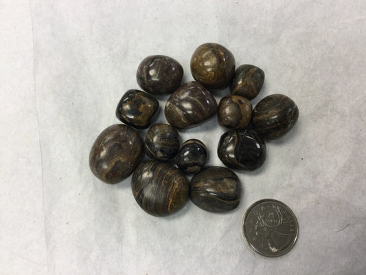 Stromatolite, Tumbled (Small)