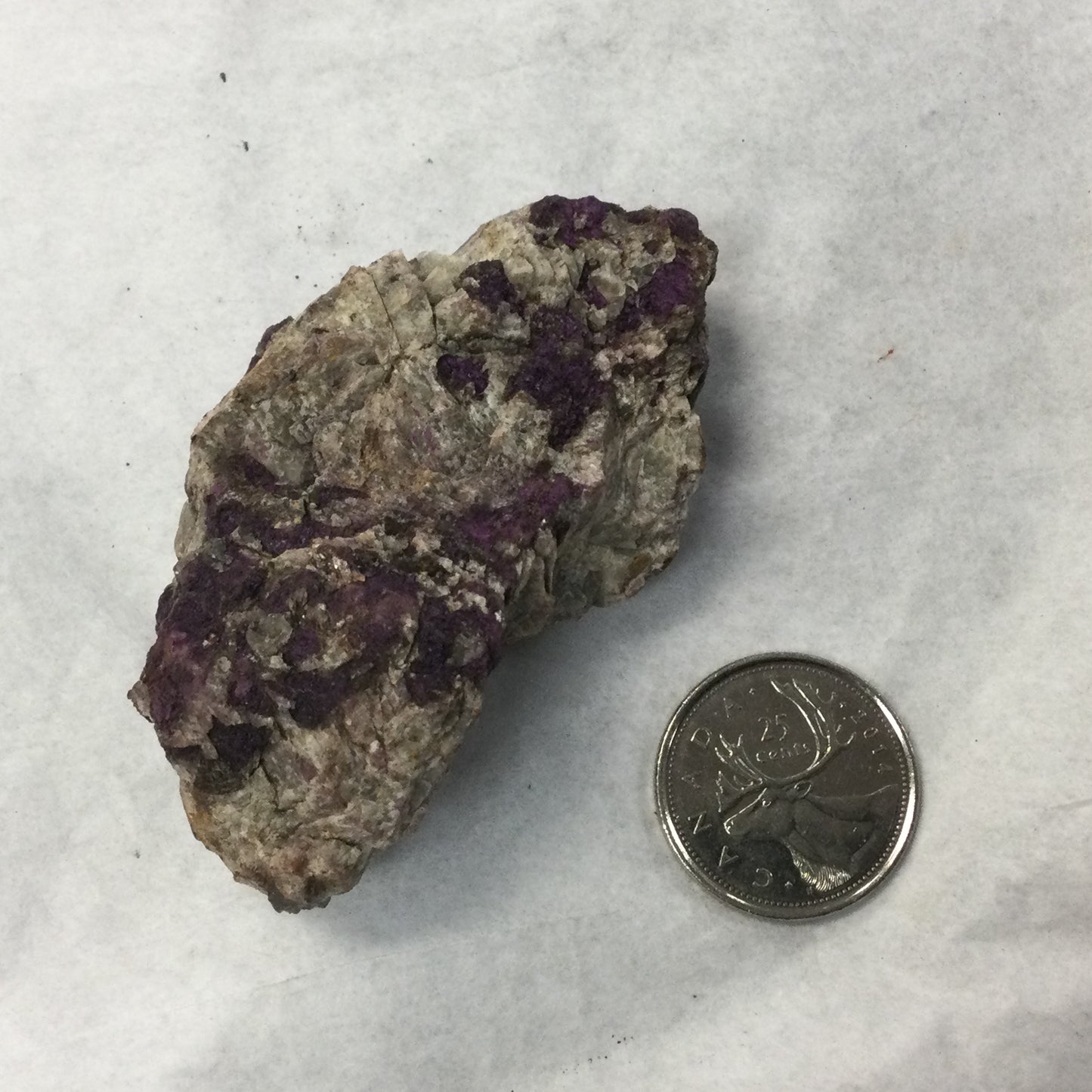 Rough Purpurite