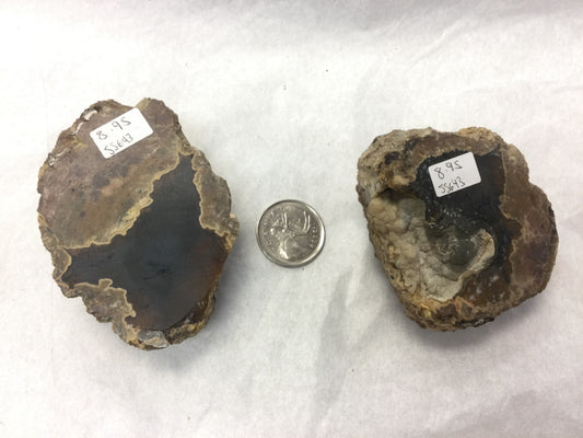 Thunder Egg Halves (Oregon)