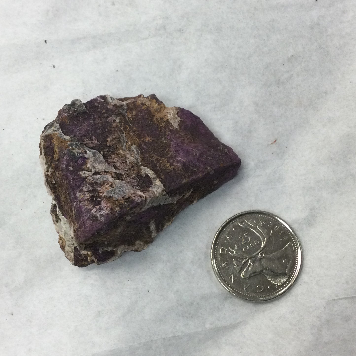 Rough Purpurite