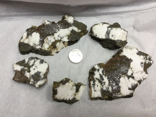 Howlite Slab (California)