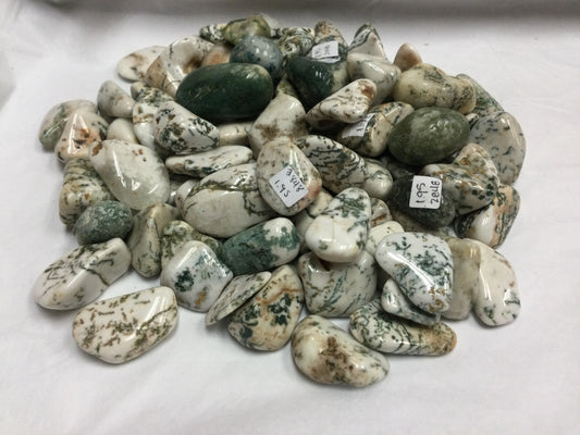 Tumbled Tree Agate