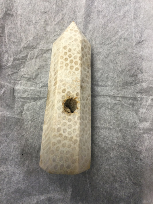 8” Fossil Coral Tower