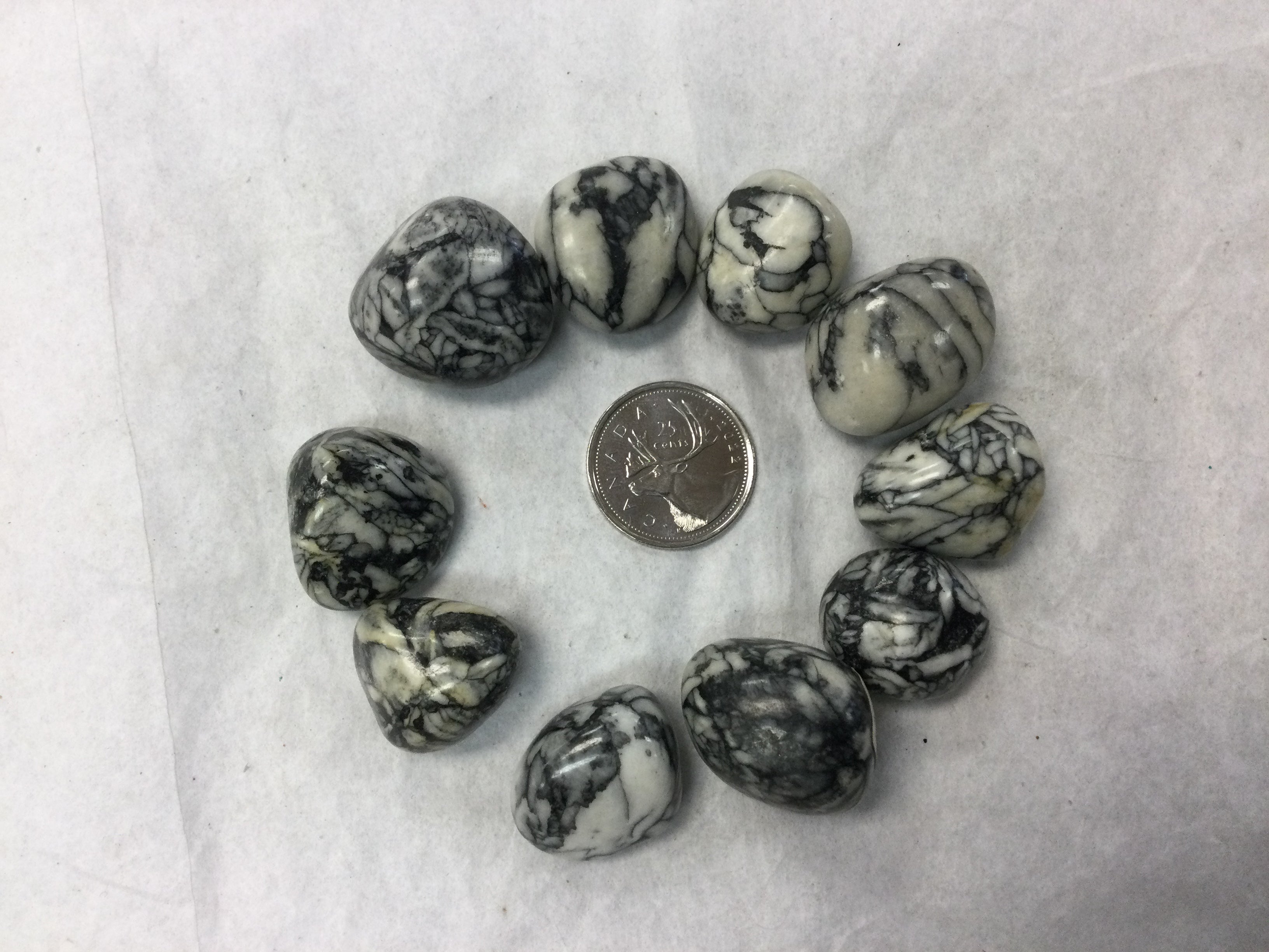 pinolith, tumbled – Planet Botanix Ottawa