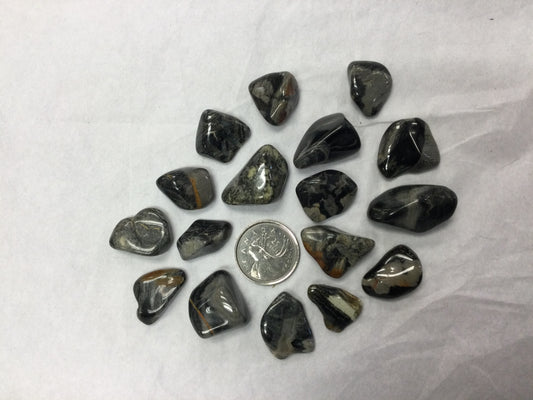 Silver Leaf Jasper