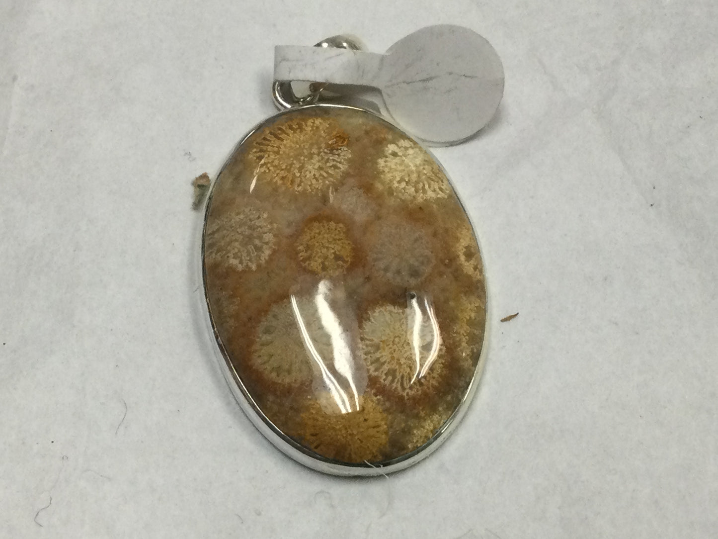 Large Fossilized Coral Pendant