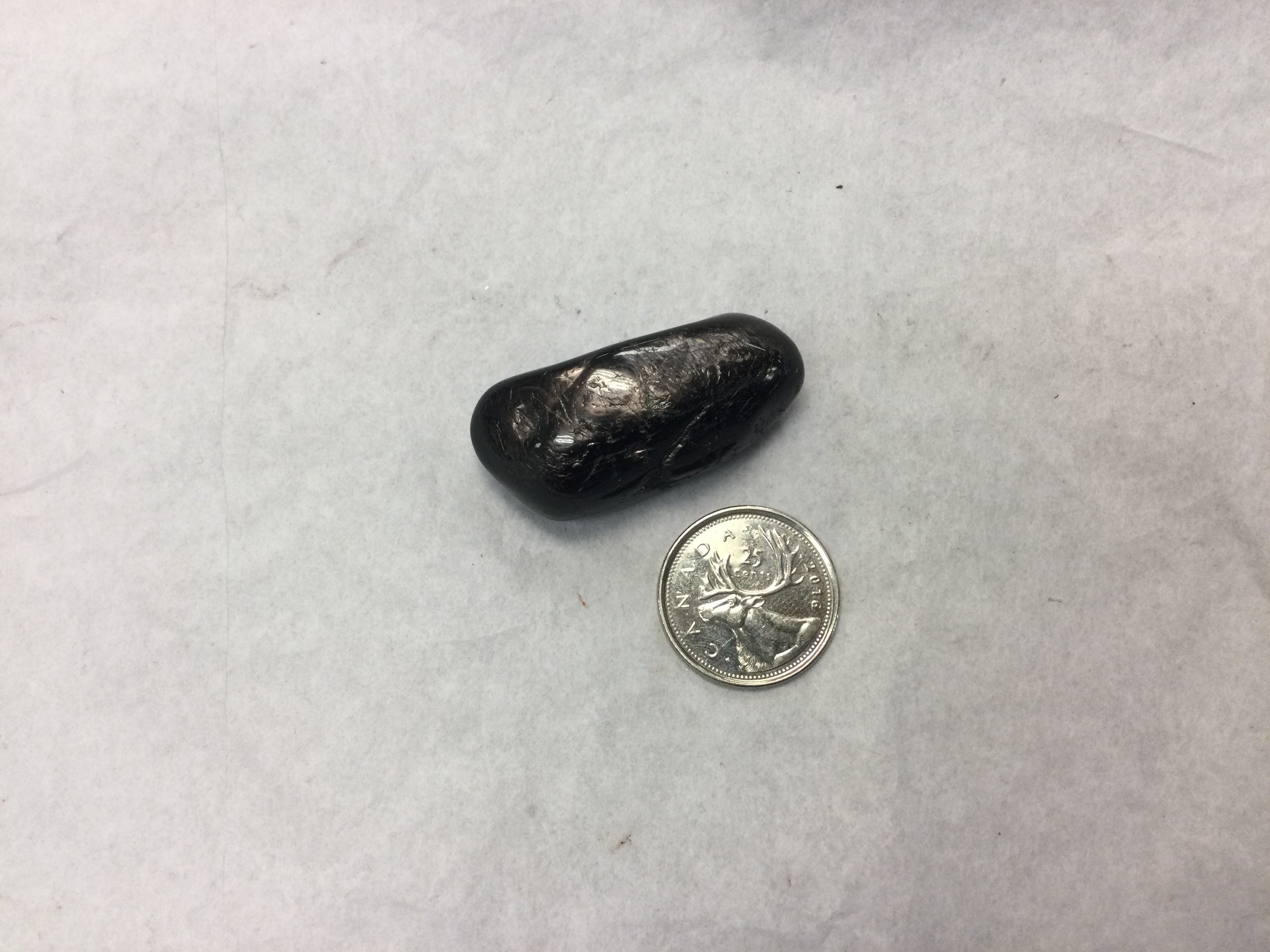 Spectrolite Tumbled Spectrolite, large tumbled – Planet Botanix Ottawa