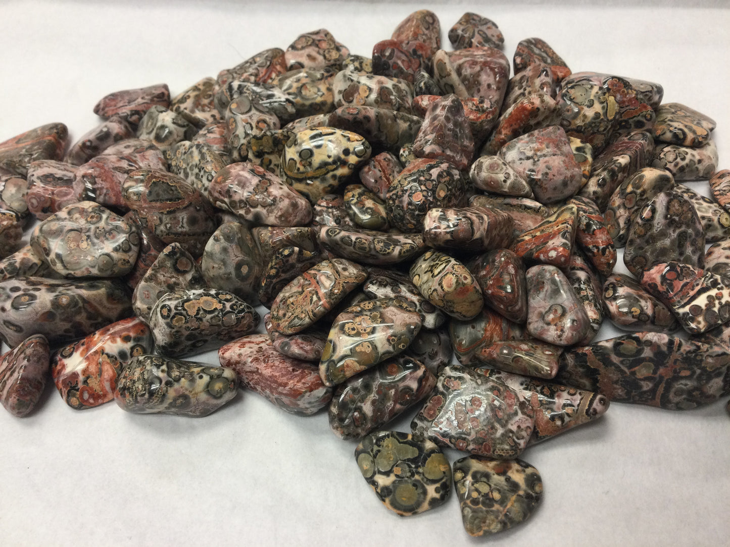 Tumbled Leopard Skin Jasper