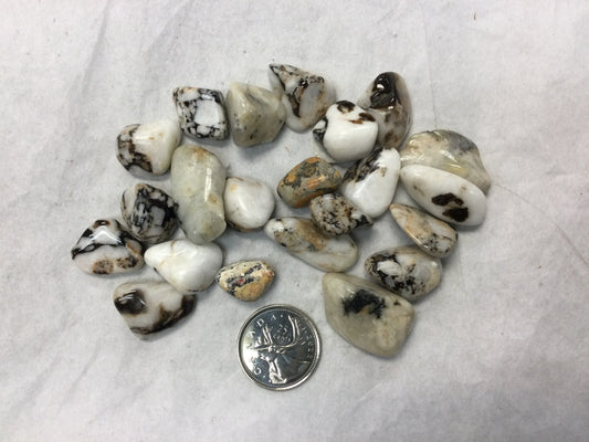 Cataclosite, Tumbled