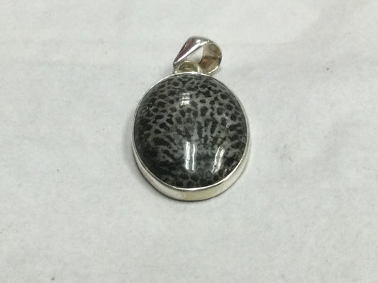 Oval Fossilized Stingray Coral Pendant