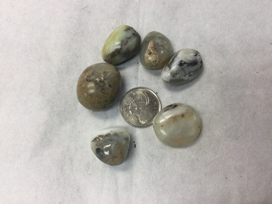 Tumbled Dendrite Opal (Peru)