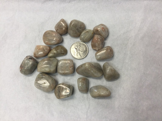 Peristerite (Ontario Moonstone)