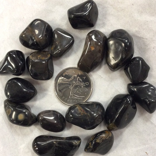 Black Onyx