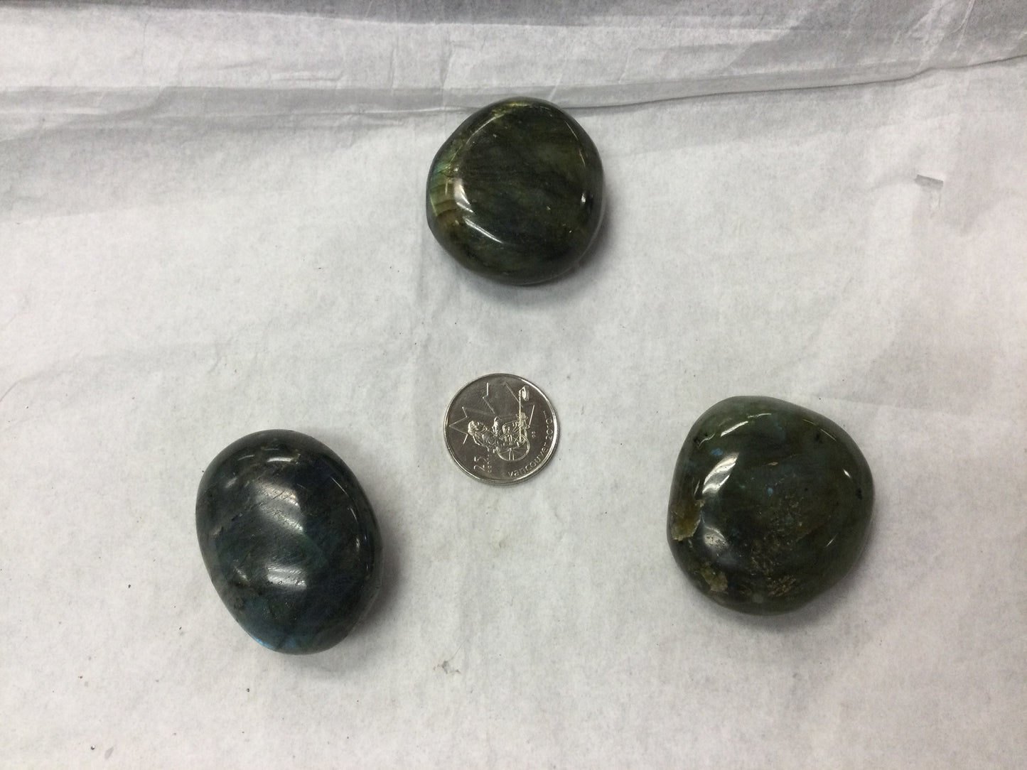 Labradorite - Tumbled Palm