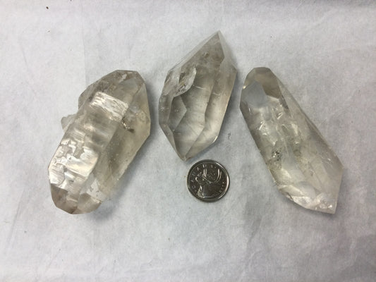 Double Pointed Lemurians