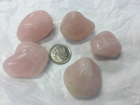 Large Tumbled Rose Quartz