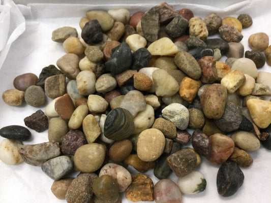 Bag of River Stones (for display)