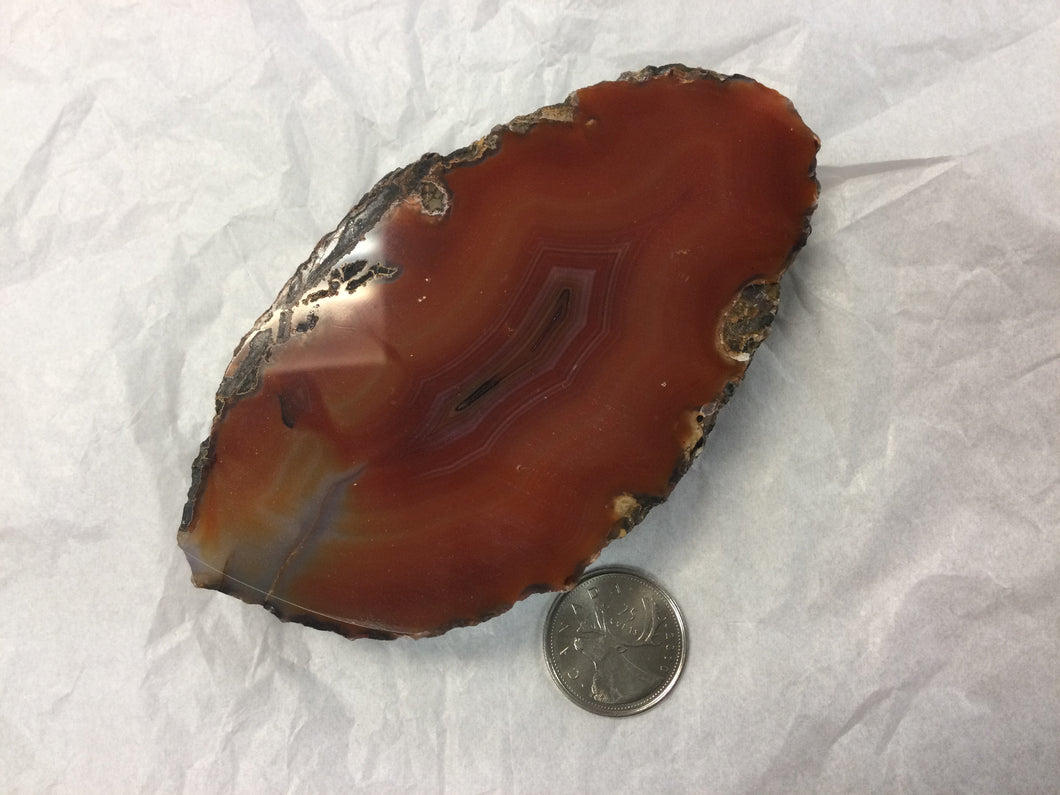 Thick Sliced Red Agate