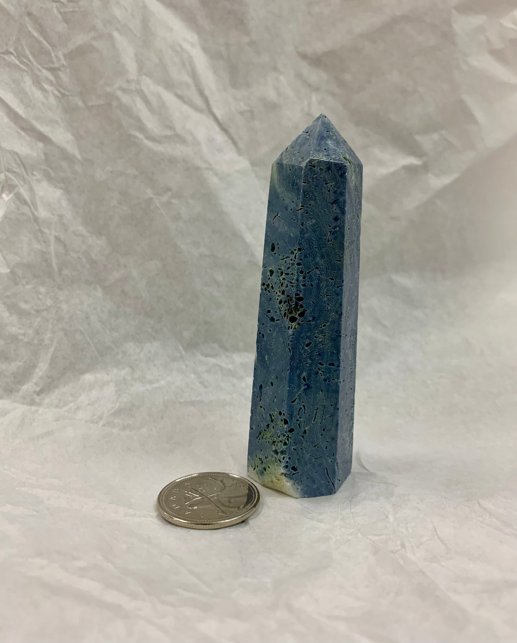 Blue Coral Point 3.5