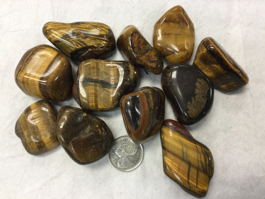 Large Tumbled Tiger's Eye