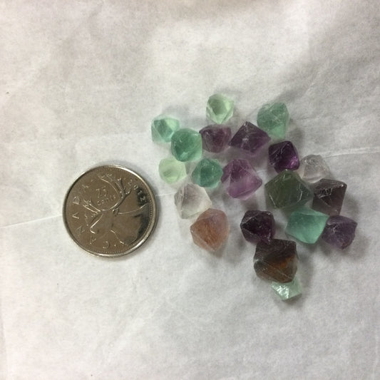 Fluorite Bags (20 Pieces)