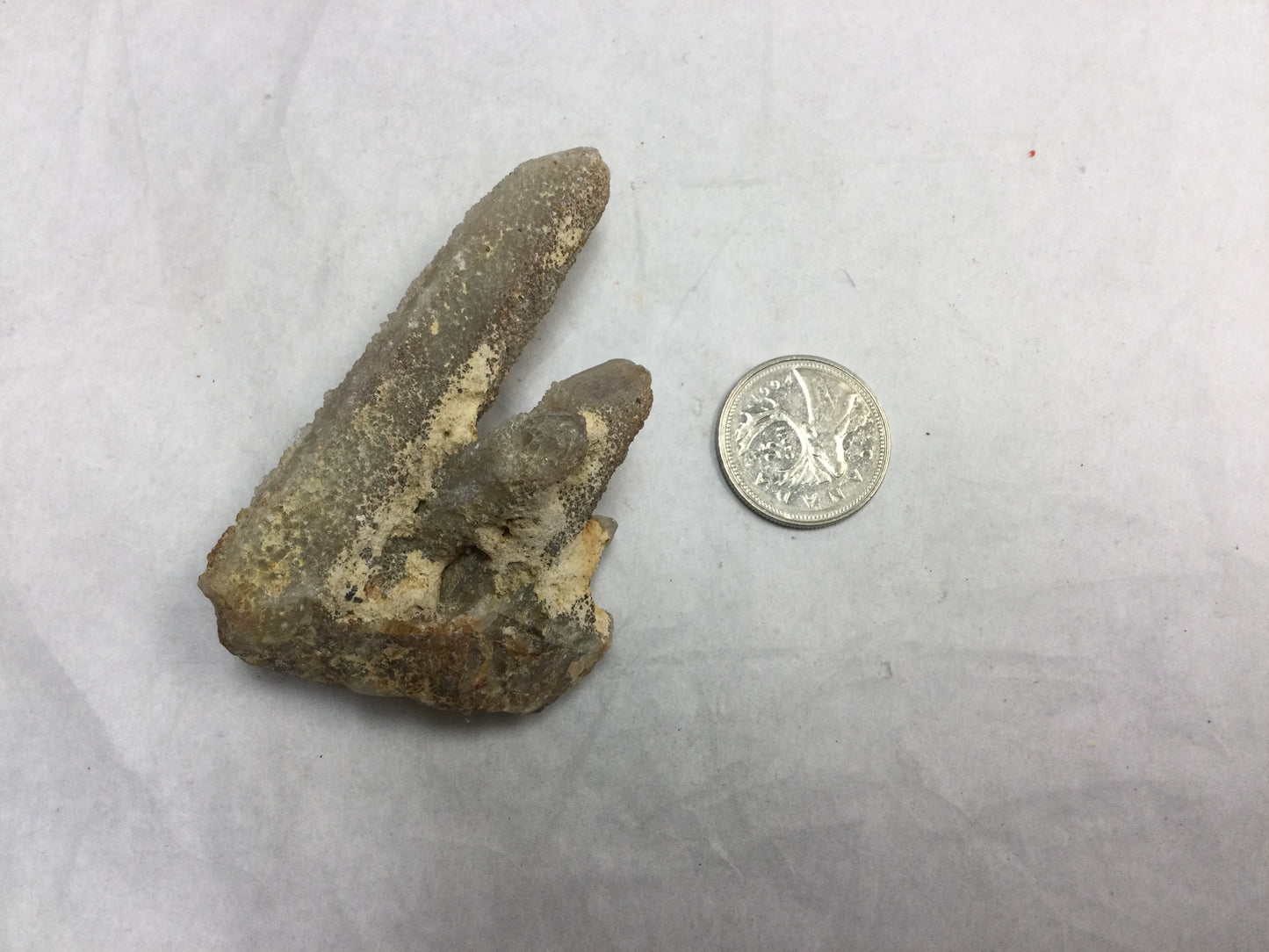 Witch’s Finger Quartz Cluster Points