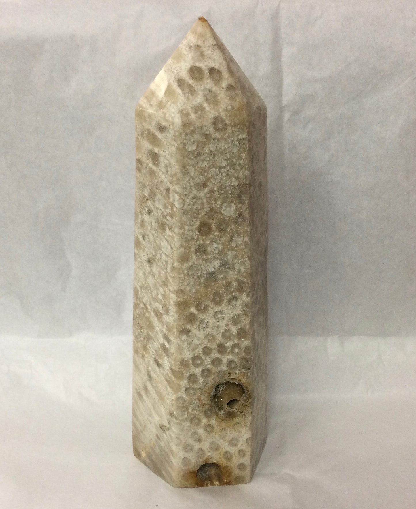 Fossil Coral Tower