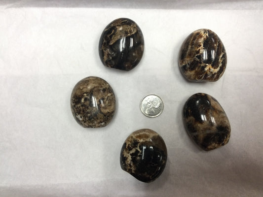 Black opal Freeform self standin