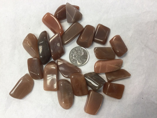 Chestnut Moonstone, tumbled