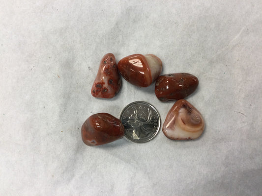 Tumbled Brown Sardonyx