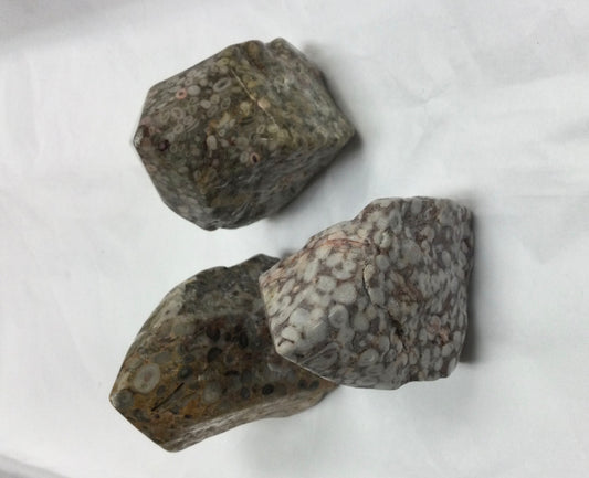 Large Leopard Skin Jasper Pieces